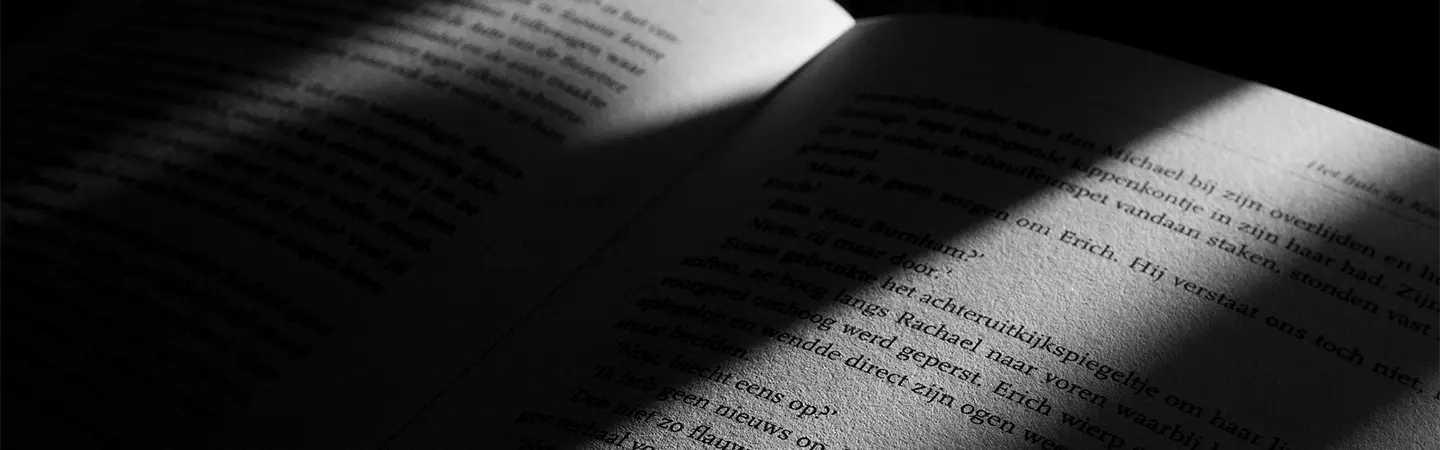 Literary No Icon